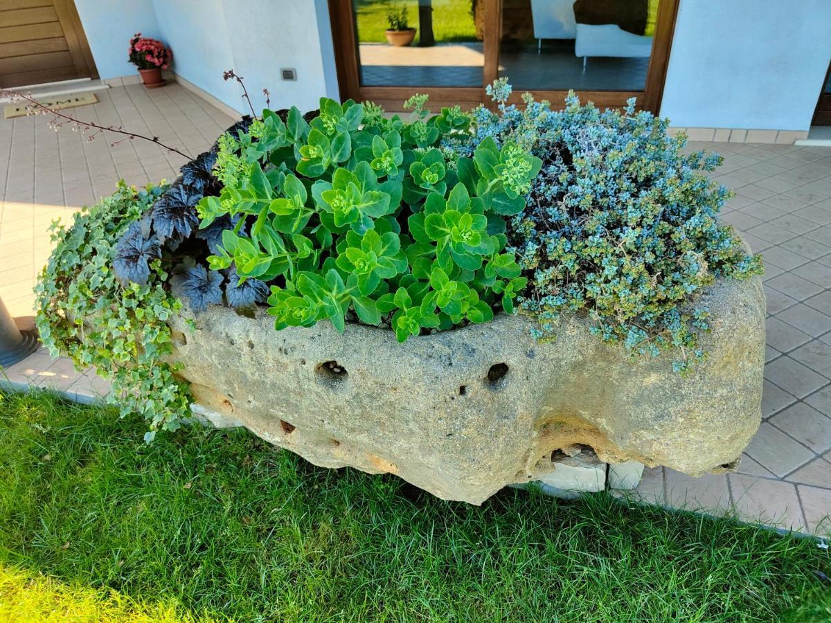 B&B Villa Letizia San Vito  외부 사진