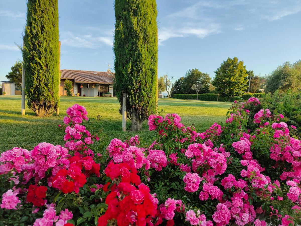 B&B Villa Letizia San Vito  외부 사진